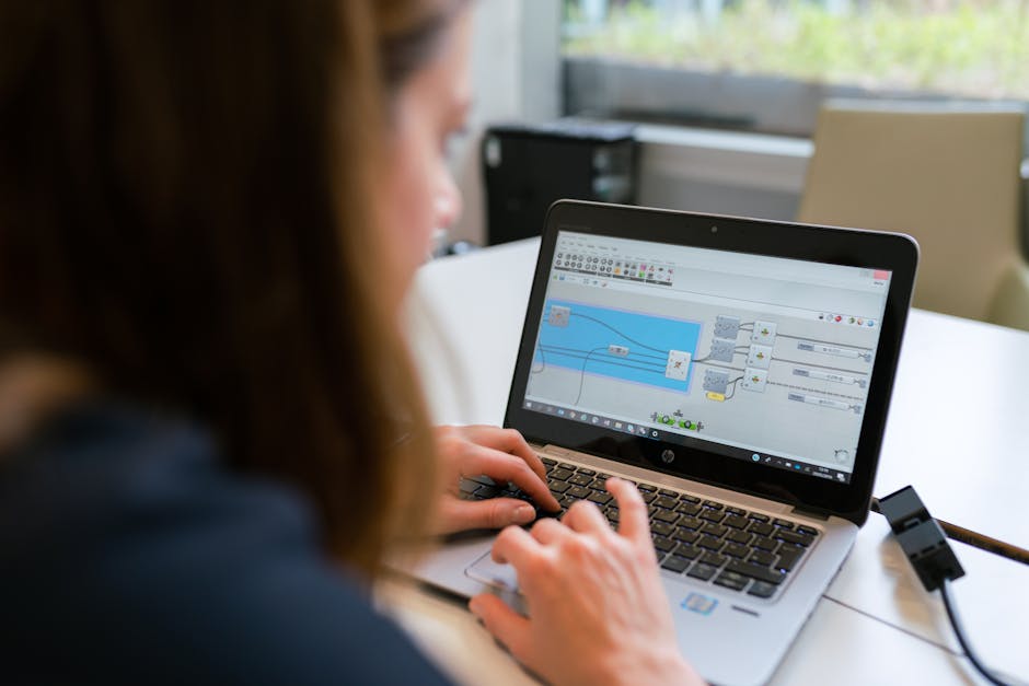 UX designer career evolution