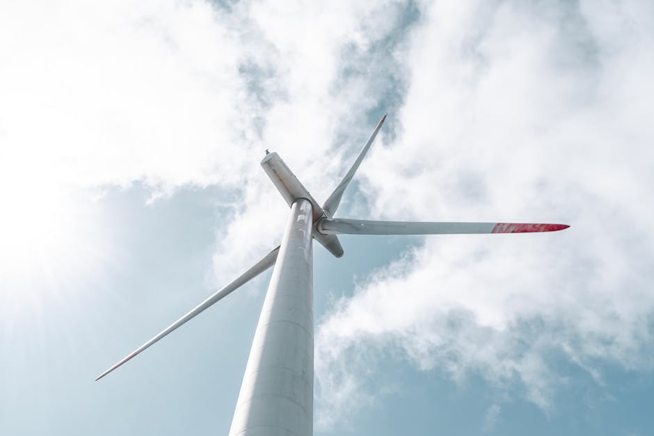 sustainable innovation examples
