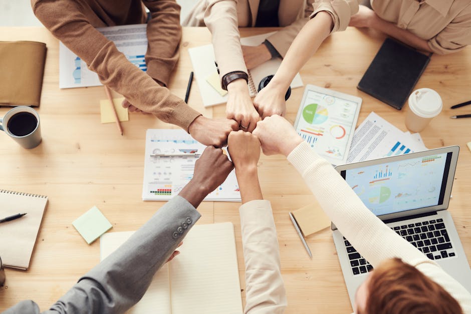 decentralized organizations